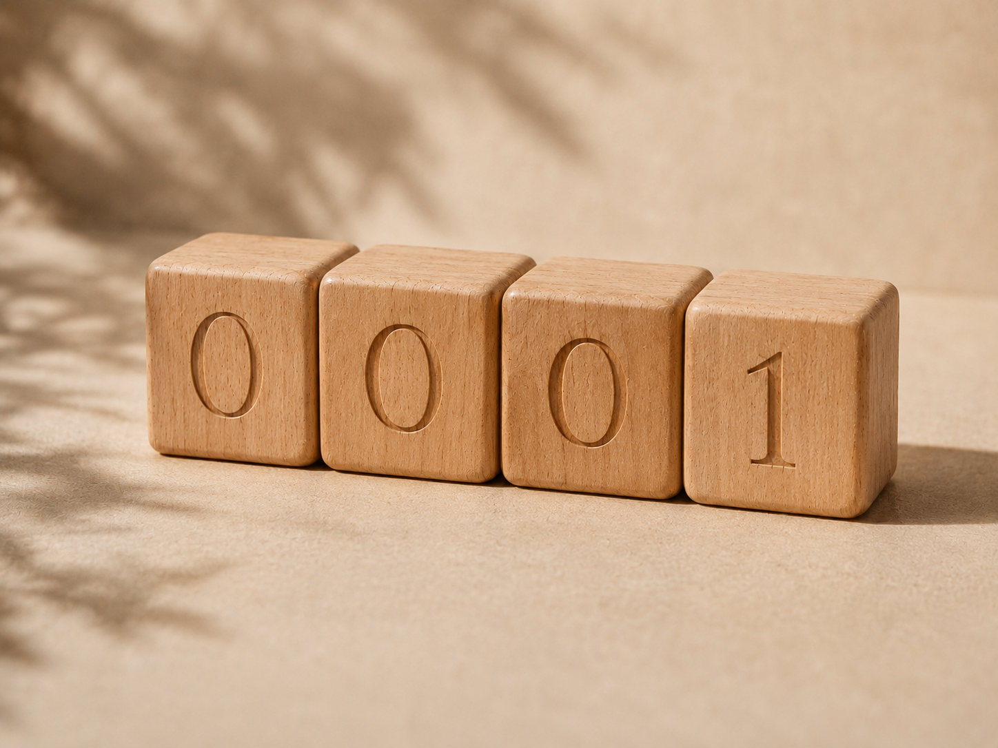 The Day One set: four natural beechwood number blocks